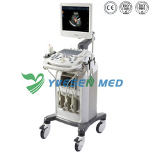 Ysb-Q3 Medical 3D-Wagen Ultraschallgerät Farbdoppler